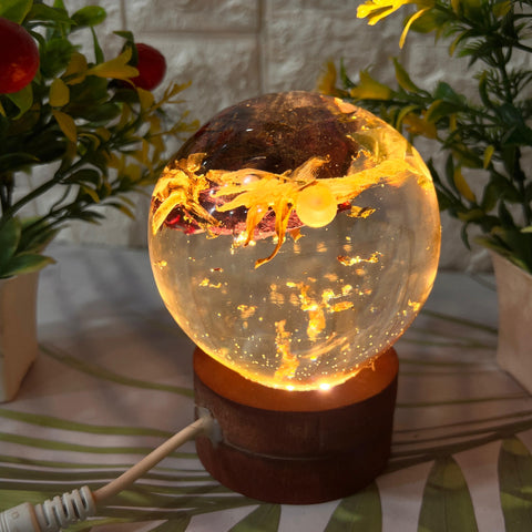 Resin Round shape with owes & pearls with Flowers Preservation Resin Round shape with owes & pearls with Flowers Preservation