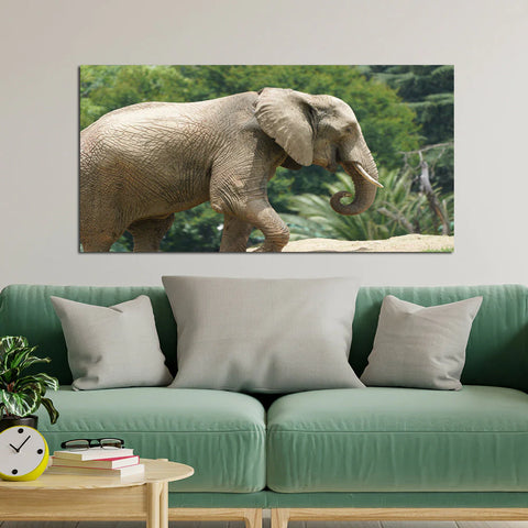 Elephant Jungle Safari Canvas Wall Painting