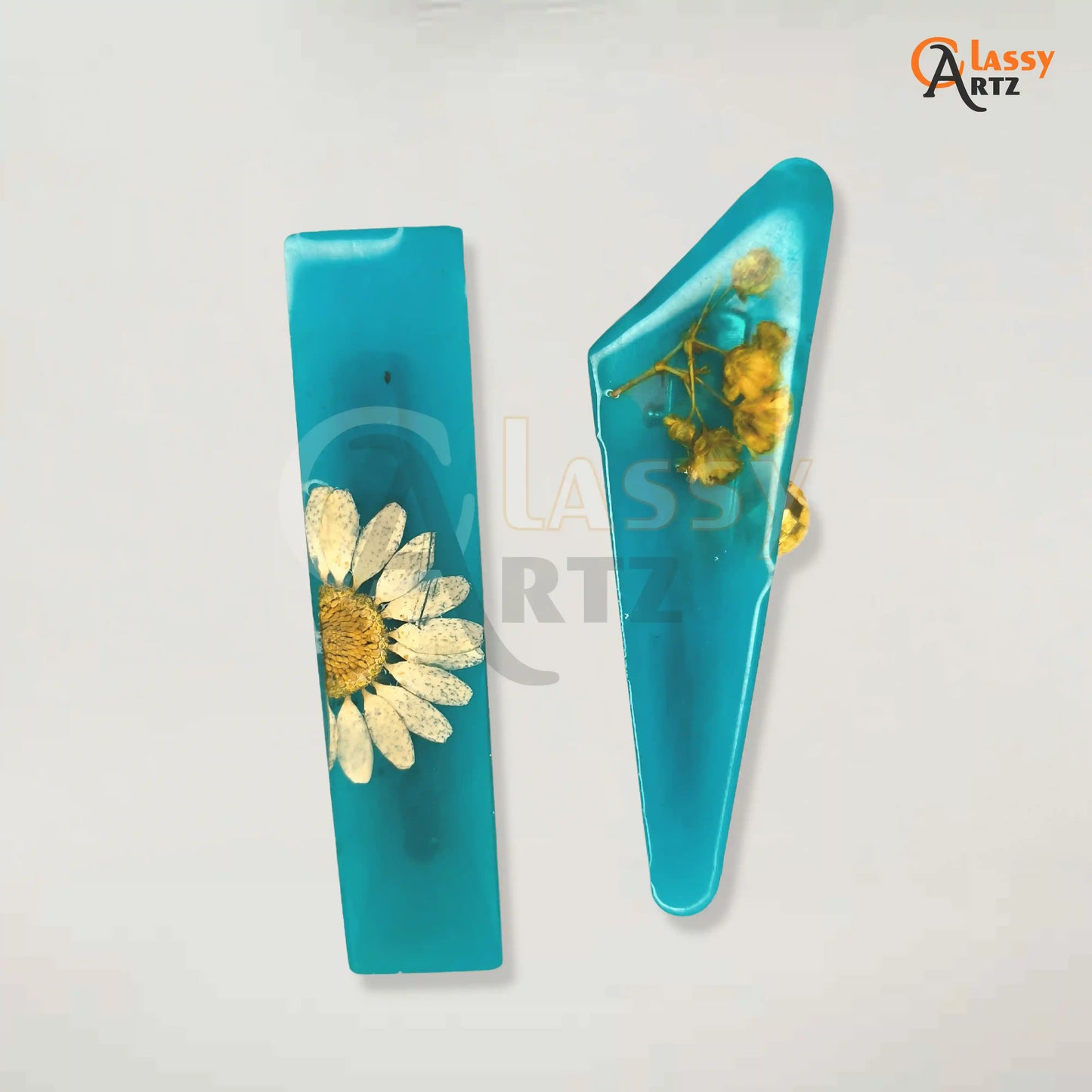 Resin Hair Clips for girls/ women/ wife/ girlfriend/ mother