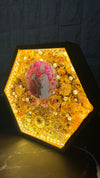 Resin 8inch Hexagonal Frame with Yellow flowers and couple Photo and Name and Date and Keleera  with LED light Varmala Preservation