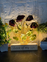 Rose Flowers Preservation in  8-Inches Resin LED Frame
