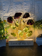 Rose Flowers Preservation in  8-Inches Resin LED Frame