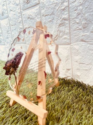 Resin 5inch Round curve shape with Single Rose & Content Flower Preservation