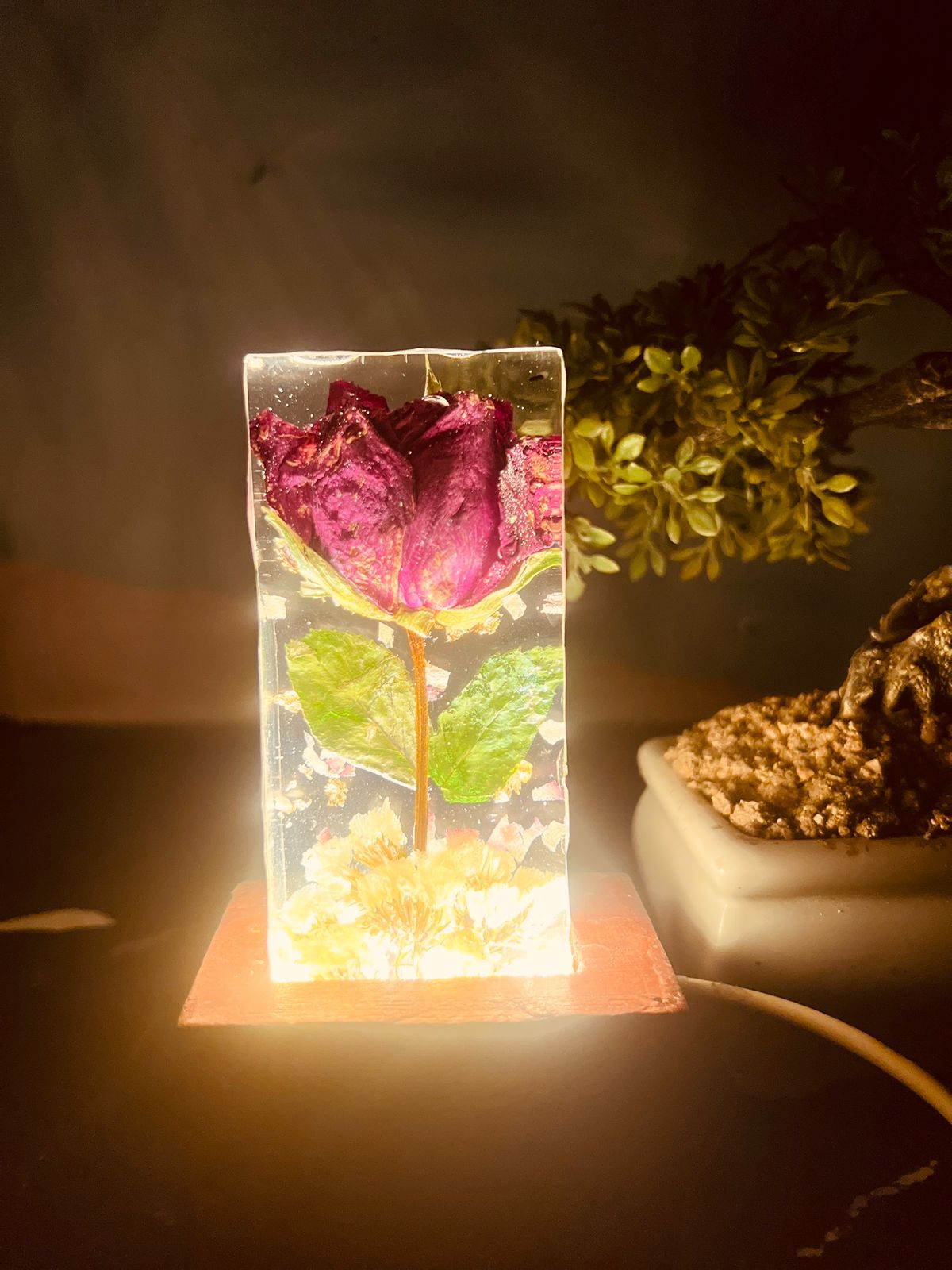Resin Single rose block with LED lamp with Phone cover Combo set with content Flowers Preservation