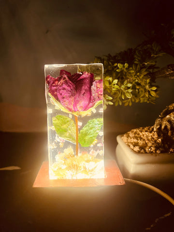 Resin Single rose block with LED lamp with Phone cover Combo set with content Flowers Preservation