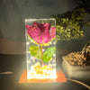 Resin Single rose block with LED lamp with Phone cover Combo set with content Flowers Preservation