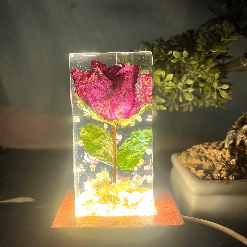 Resin Single rose block with LED lamp with Phone cover Combo set with content Flowers Preservation