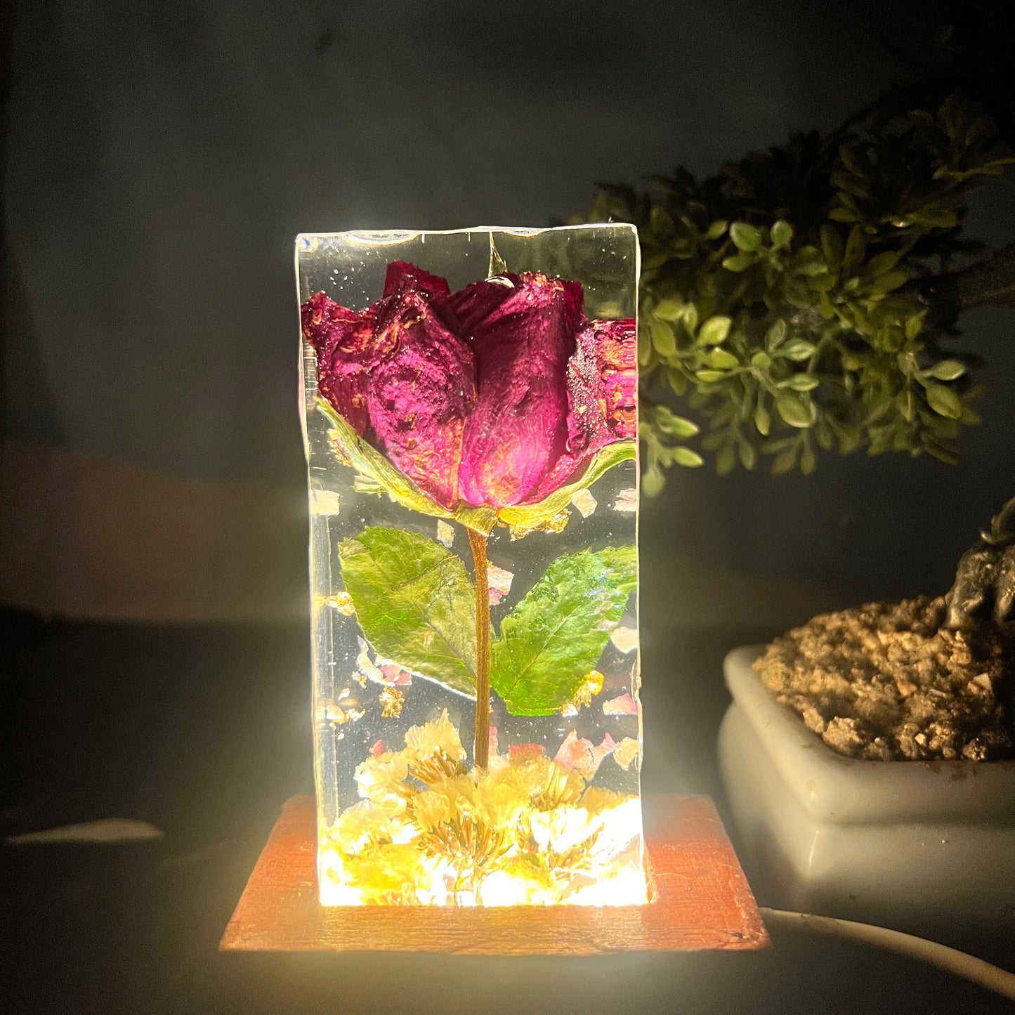 Resin Single rose block with LED lamp with Phone cover Combo set with content Flowers Preservation