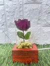 Resin Single rose block with LED lamp with Phone cover Combo set with content Flowers Preservation