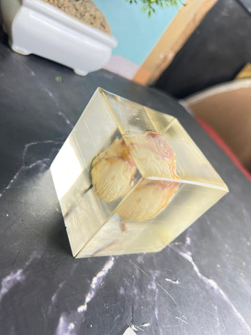 Resin Round keychain set with Cube Single rose Preservation with Flower Preservation