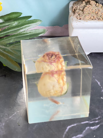 Resin Round keychain set with Cube Single rose Preservation with Flower Preservation