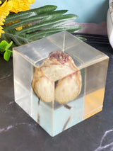 Resin Round keychain set with Cube Single rose Preservation with Flower Preservation