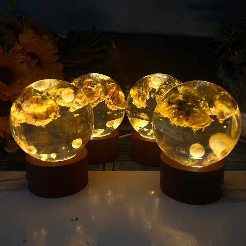 Resin 4 set of Paper weghit with LED lamp option Varmala Preservation