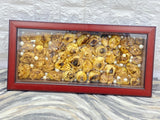 Resin Dry Varmala Flower Preservation Frame