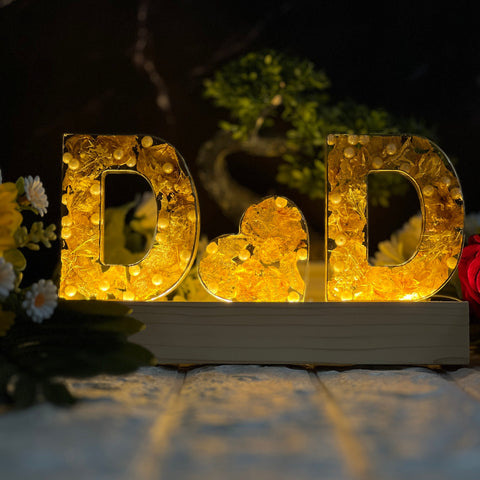 Name Initials Varmala Preservation Resin LED Lamp