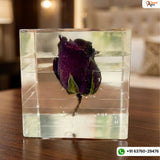 Resin Single Rose block Preservation