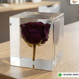 Resin Single rose with squre block of life time memoirs Flowers Preservation