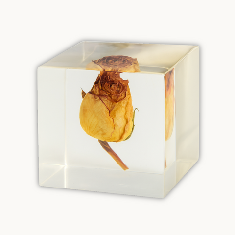 Resin Round keychain set with Cube Single rose Preservation with Flower Preservation
