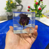 Resin Single Rose block Preservation