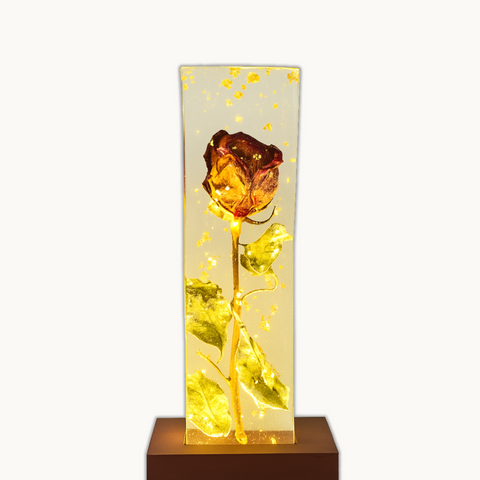 Resin single rose preservation with LED lamp Flowers preservation