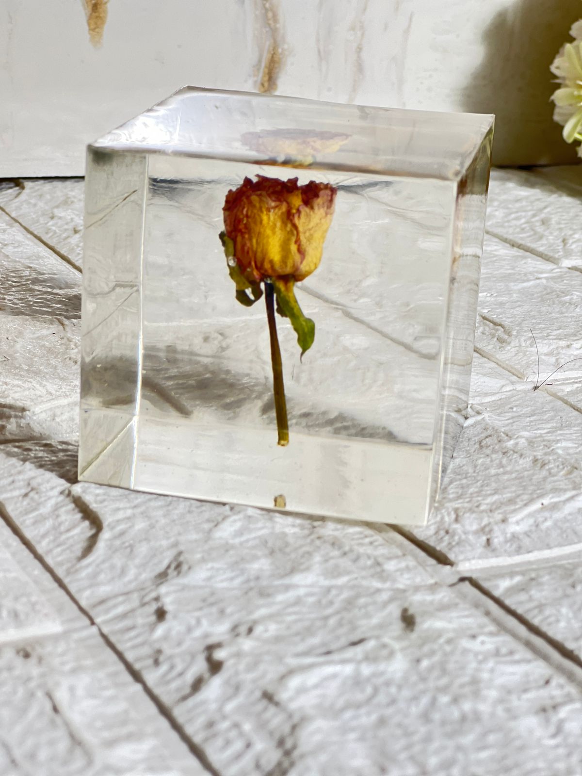 Resin Flower Preservation with LED Lamp Wooden Stand, with Personalized and Customizable Sizes, Colors and Shapes Options