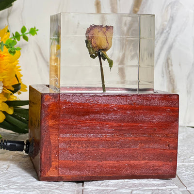 Single Rose Resin Cube on Wooden LED Lamp Stand