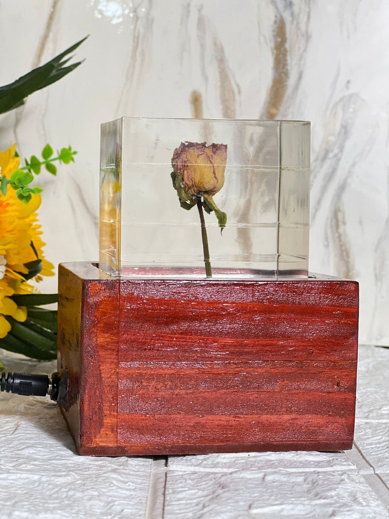 Resin Flower Preservation with LED Lamp Wooden Stand, with Personalized and Customizable Sizes, Colors and Shapes Options