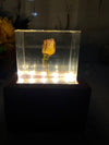 Resin Flower Preservation with LED Lamp Wooden Stand, with Personalized and Customizable Sizes, Colors and Shapes Options