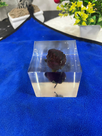 Resin Single Rose block Preservation