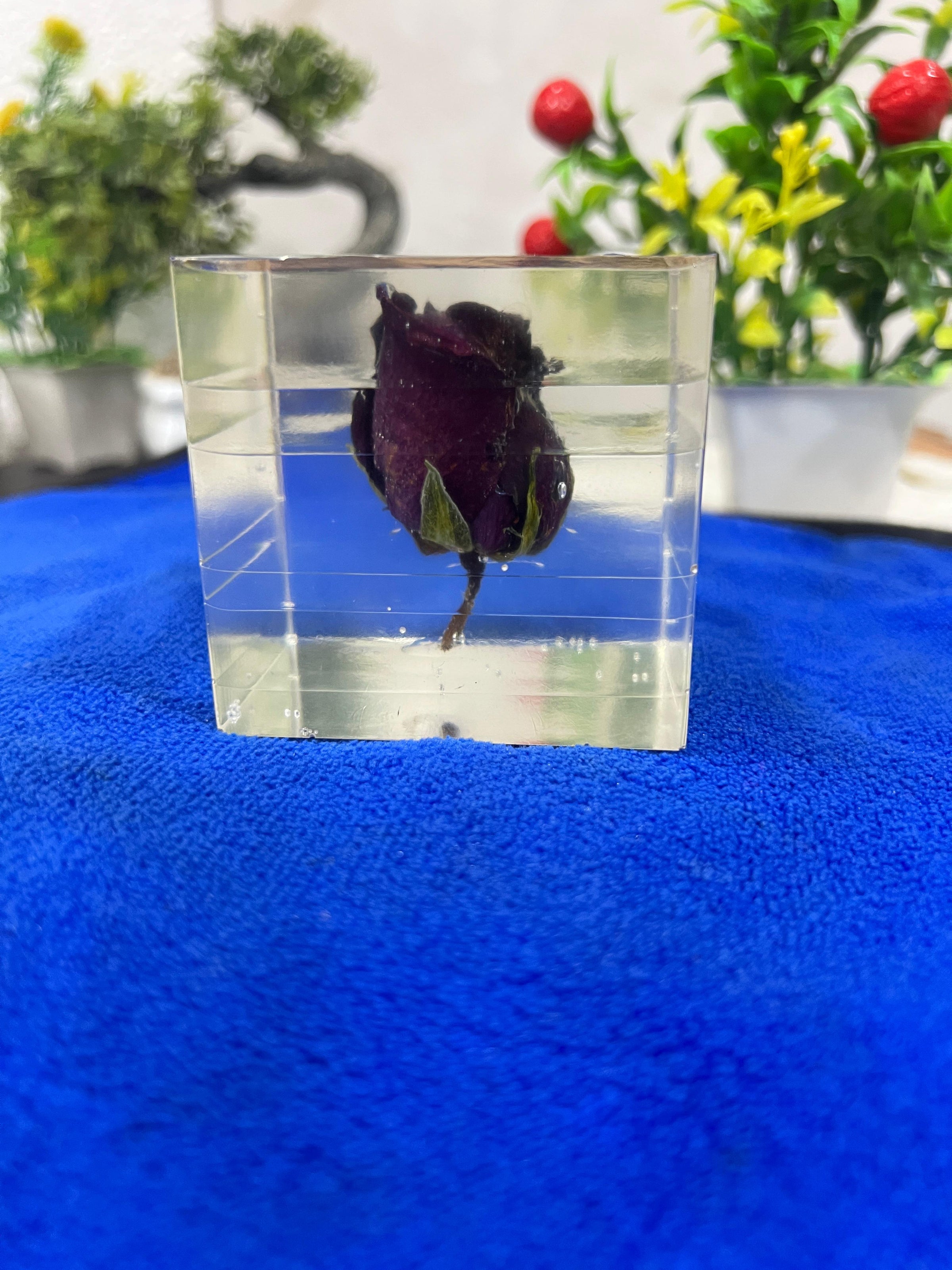 Resin Single Rose block Preservation