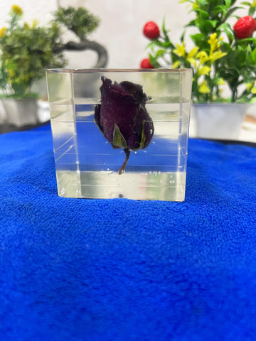 Resin Single Rose block Preservation