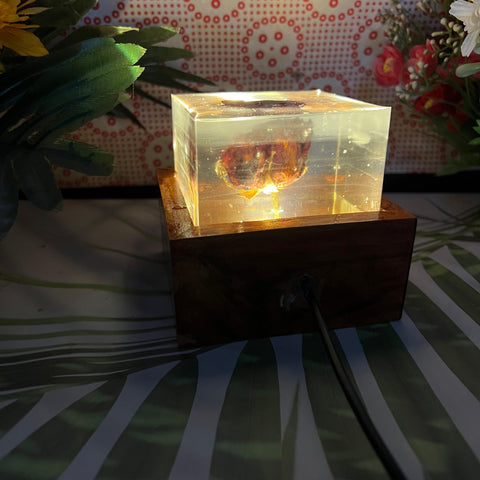 Resin Single Rose LED Lamp with LED wooden stand Flowers Preservation