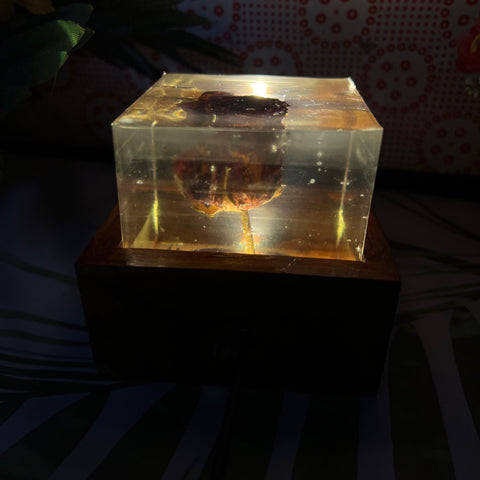 Resin Single Rose LED Lamp with LED wooden stand Flowers Preservation