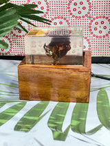 Resin Single Rose LED Lamp with LED wooden stand Flowers Preservation