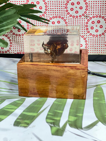 Resin Single Rose LED Lamp with LED wooden stand Flowers Preservation