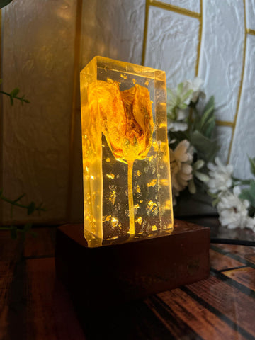Resin Single Rose with LED Lamp Couple Name Single Flowers Preservation