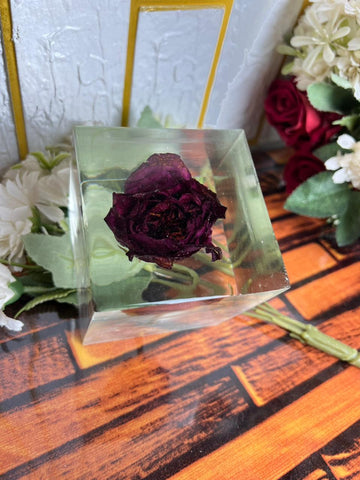 Resin Single rose with squre block of life time memoirs Flowers Preservation