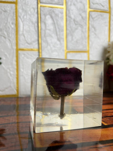 Resin Single rose with squre block of life time memoirs Flowers Preservation