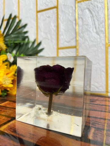 Resin Single rose with squre block of life time memoirs Flowers Preservation