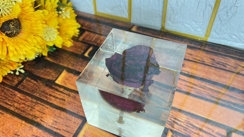 Resin Single rose with squre block of life time memoirs Flowers Preservation