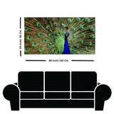 Peacock Dancing Abstract Canvas Wall Painting