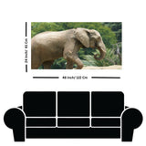 Elephant Jungle Safari Canvas Wall Painting