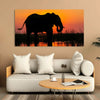 Elephant Drinking Water At Sunset canvas Wall painting for living room