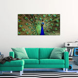 Peacock Dancing Abstract Canvas Wall Painting