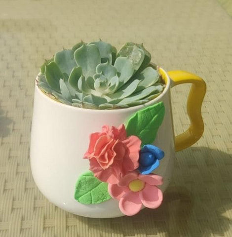 Designer Beautiful Mug Planter For Bulk Gift/ Return Gift