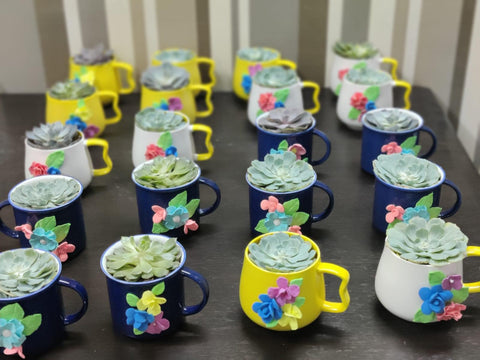 Designer Beautiful Mug Planter For Bulk Gift/ Return Gift