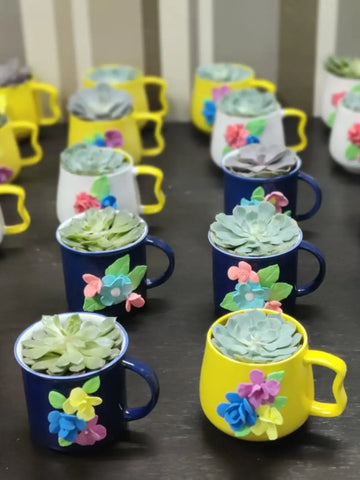 Designer Beautiful Mug Planter For Bulk Gift/ Return Gift